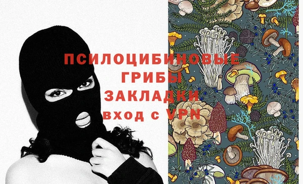 марки lsd Абаза
