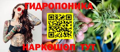 PSILOCYBIN Аша