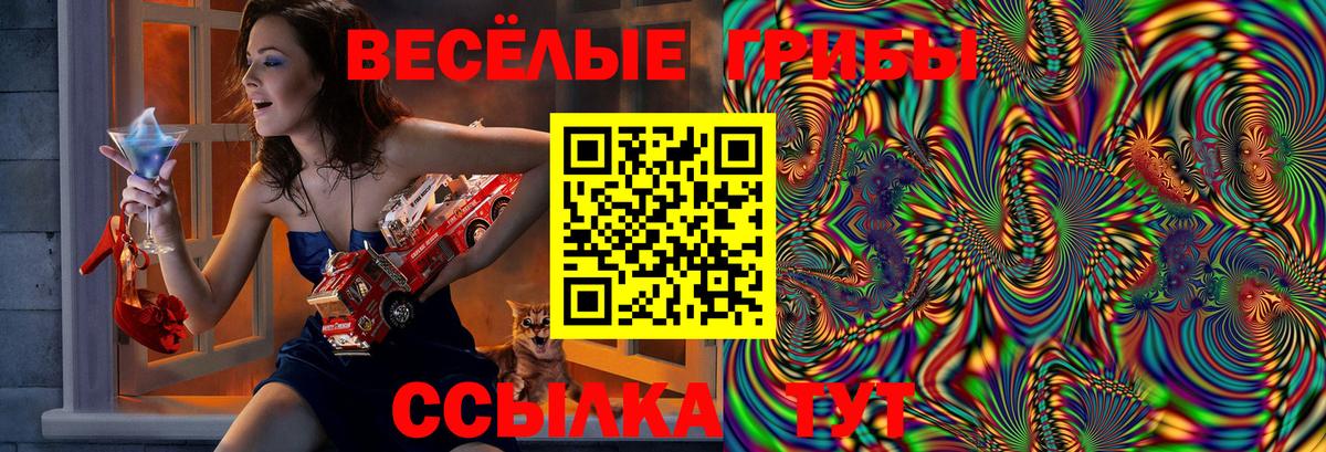Псилоцибиновые грибы Cubensis  дарнет шоп  Галлюциногенные грибы GOLDEN TEACHER  Алатырь  Вход с VPN 